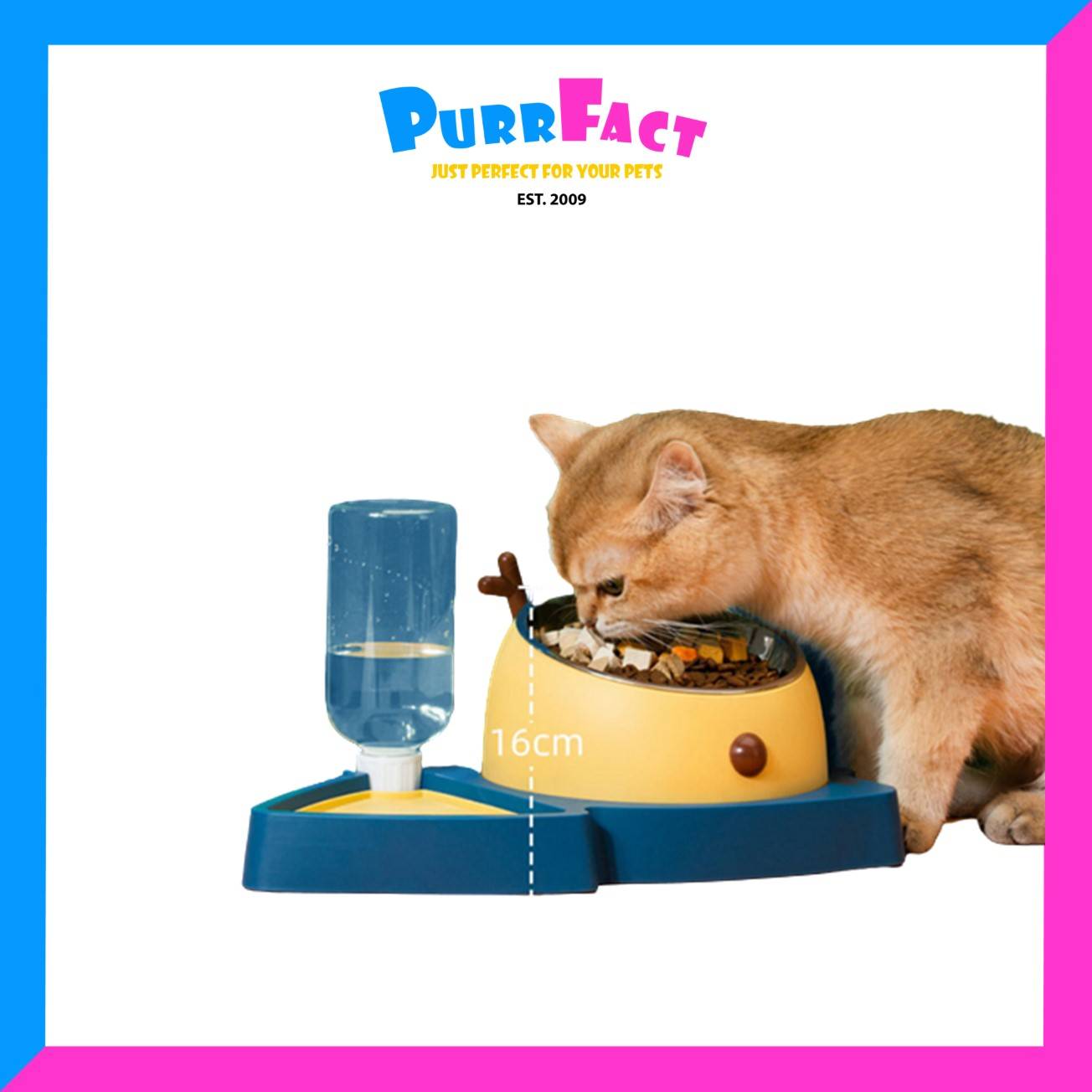 Asher & Seth 3 in 1 Christmas Tree Feeder