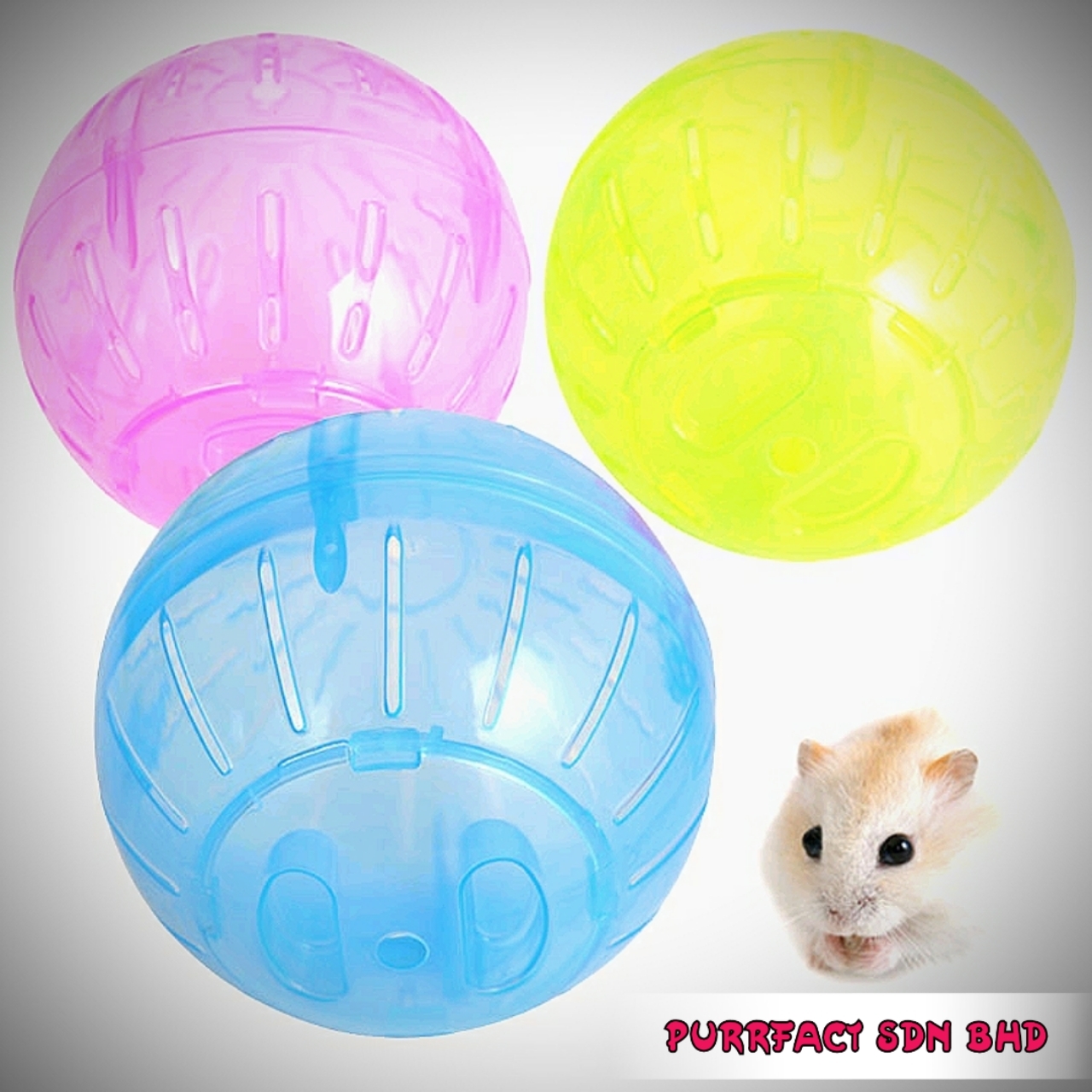 Hamster Exercise Ball 12cm
